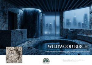 Wildwood Birch